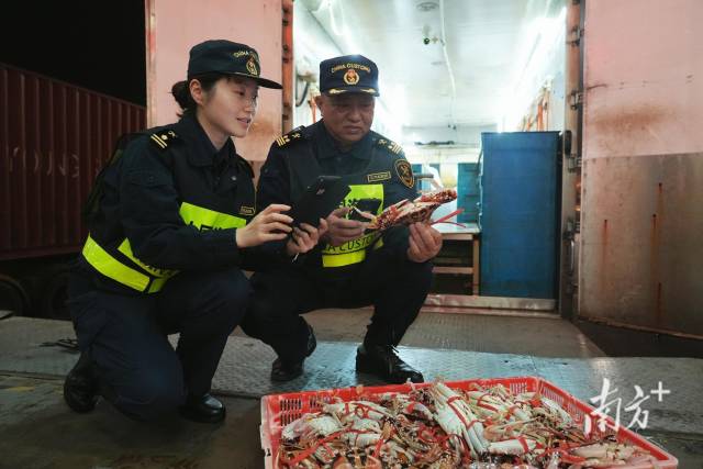 海关总署在粤发布《海关支持粤港澳大湾区建设若干措施》,5方面20项举措全面支持发展 海关总署在粤发布《海关支持粤港澳大湾区建设若干措施》,5方面20项举措全面支持发展
