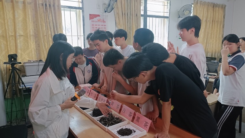 省委港澳办驻大麻镇帮扶工作队开展“六一”暖心活动 关爱乡村儿童成长 省委港澳办驻大麻镇帮扶工作队开展“六一”暖心活动 关爱乡村儿童成长