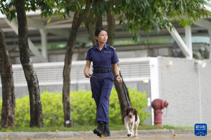 4月16日拍摄的香港特区政府警务处警犬队总督察范展婷。