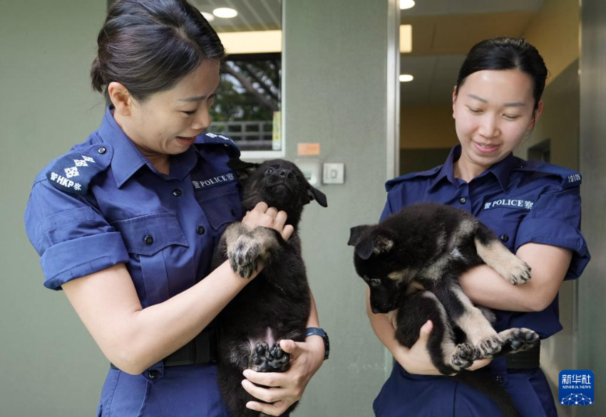 4月16日，香港特区政府警务处警犬队总督察范展婷（左）与警员曾洁莹在接受访问。