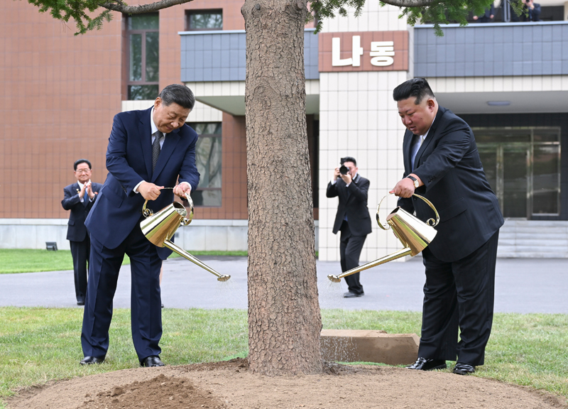 当地时间6月9日上午,中共中央总书记、国家主席习近平在朝鲜劳动党总书记、国务委员长金正恩陪同下,参访位于平壤的朝鲜劳动党中央干部学校。这是在教学楼之间的林地上,习近平和金正恩共同种下一株枞树。图片来源:新华网 当地时间6月9日上午,中共中央总书记、国家主席习近平在朝鲜劳动党总书记、国务委员长金正恩陪同下,参访位于平壤的朝鲜劳动党中央干部学校。这是在教学楼之间的林地上,习近平和金正恩共同种下一株枞树。图片来源:新华网