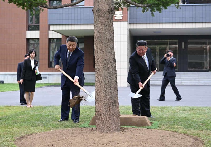 当地时间6月9日上午,中共中央总书记、国家主席习近平在朝鲜劳动党总书记、国务委员长金正恩陪同下,参访位于平壤的朝鲜劳动党中央干部学校。这是在教学楼之间的林地上,习近平和金正恩共同种下一株枞树。图片来源:新华网 当地时间6月9日上午,中共中央总书记、国家主席习近平在朝鲜劳动党总书记、国务委员长金正恩陪同下,参访位于平壤的朝鲜劳动党中央干部学校。这是在教学楼之间的林地上,习近平和金正恩共同种下一株枞树。图片来源:新华网