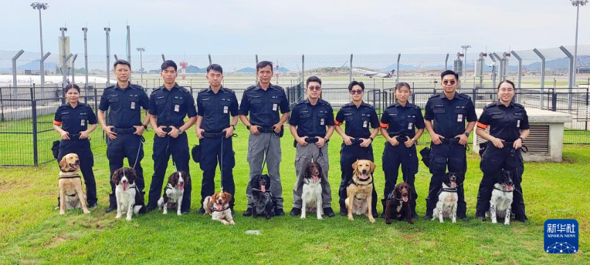 这是机场保安犬只行动小组部分领犬员和犬只合照(6月8日摄)。 这是机场保安犬只行动小组部分领犬员和犬只合照(6月8日摄)。