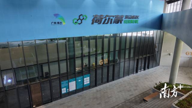 广深中居民一起约球!专业篮球馆登陆南沙大湾区文体中心 广深中居民一起约球!专业篮球馆登陆南沙大湾区文体中心