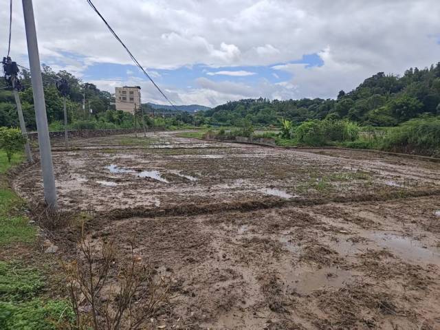 撂荒土地整治中