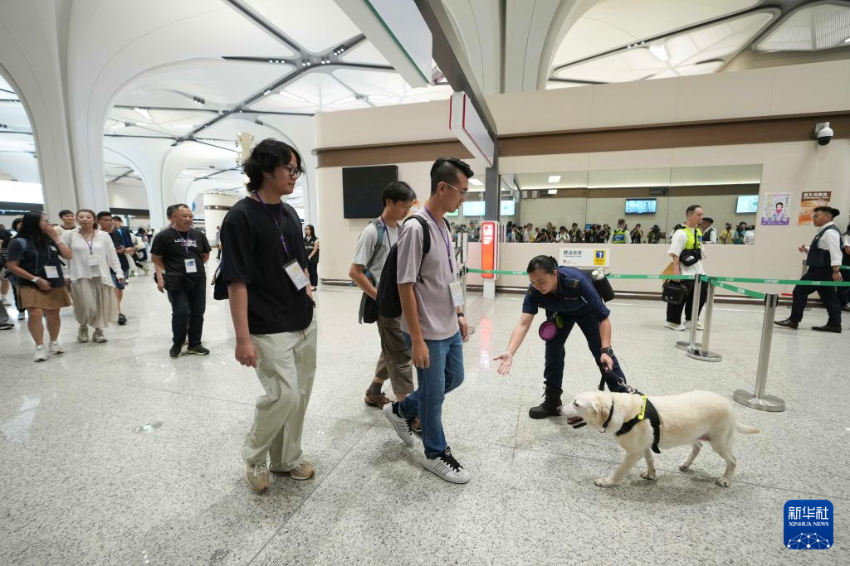 8月22日,在皇岗口岸港方口岸区,香港特区政府海关人员在模拟检查过境旅客。 8月22日,在皇岗口岸港方口岸区,香港特区政府海关人员在模拟检查过境旅客。