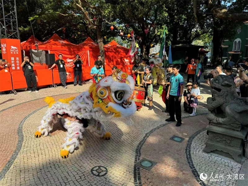 图为澳门妈阁庙门前的石狮与舞狮各展风采。 图为澳门妈阁庙门前的石狮与舞狮各展风采。