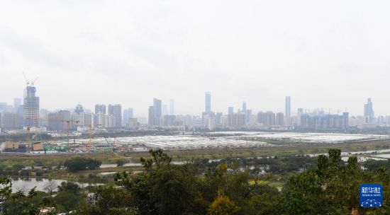 图片说明