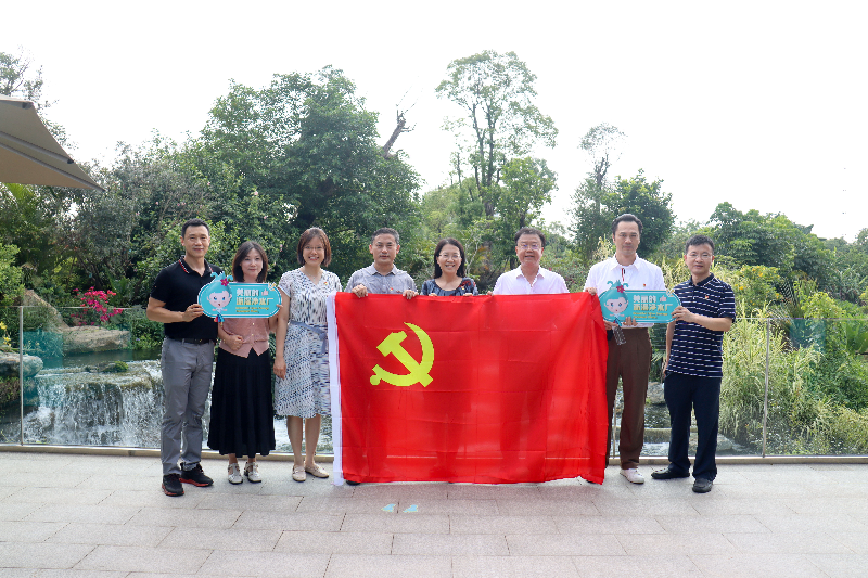 图片说明