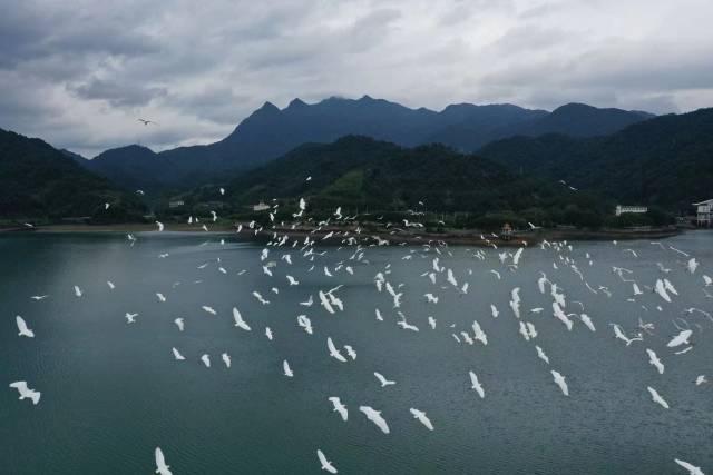 我国首座大型抽水蓄能电站对港电力调节超300亿千瓦时