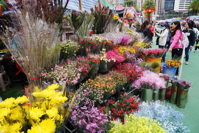 1月23日，人们在香港维多利亚公园年宵市场挑选鲜花。