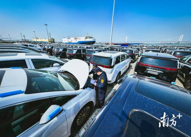 南沙自贸试验区挂牌十年 外贸进出口值年均增长约10% 南沙自贸试验区挂牌十年 外贸进出口值年均增长约10%