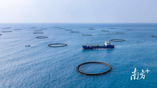 GDP增长4.1%，一季度广东经济数据出炉