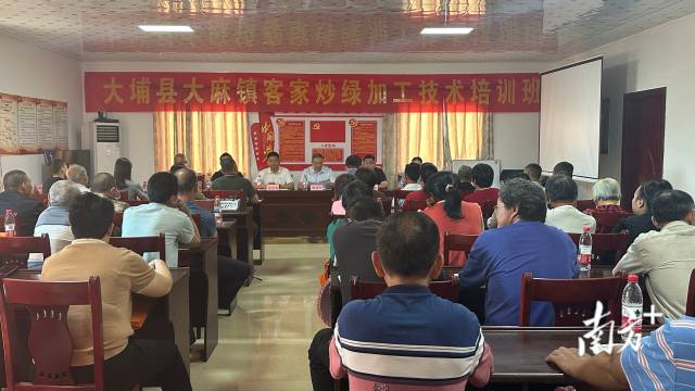 大埔县大麻镇举办客家炒绿加工技术培训班