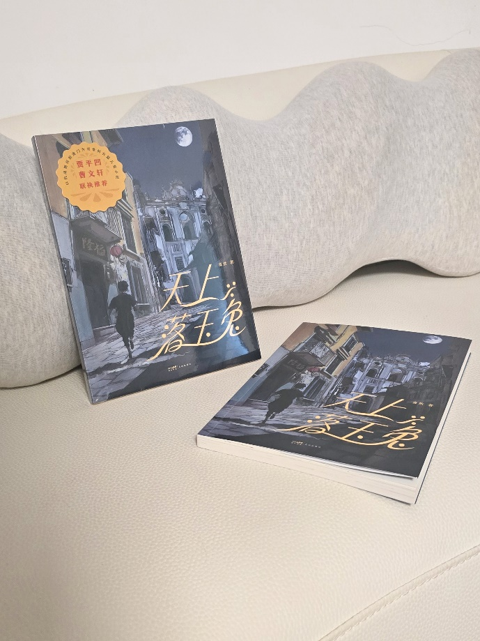 图为小说《天上落玉兔》。