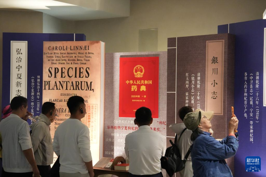 5月24日，港澳台侨同胞参访百瑞源殷红子熟枸杞庄园。
