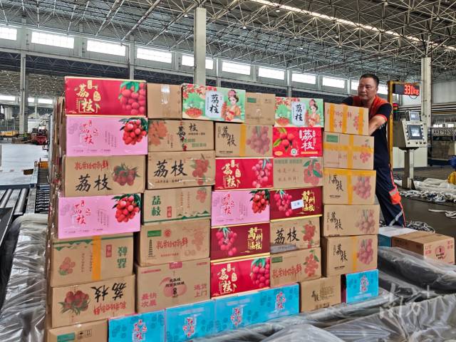 广东荔枝“飞”达全球，南航今年已运超7000吨