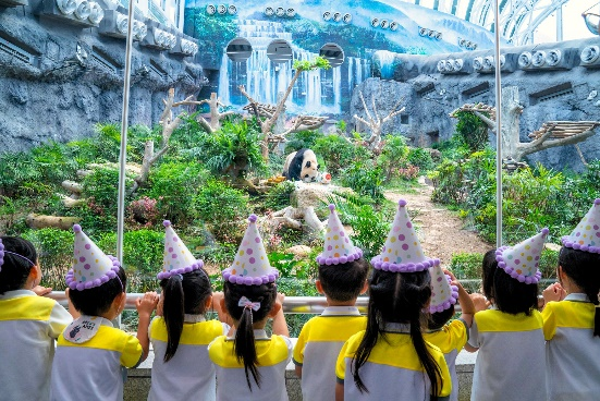 图为澳门孩子们为大熊猫“健健”“康康”献唱生日歌。