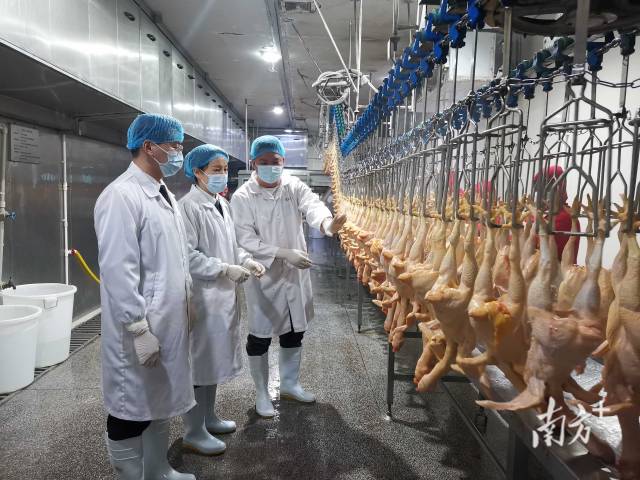 前5个月广东对香港进出口增长7.8%