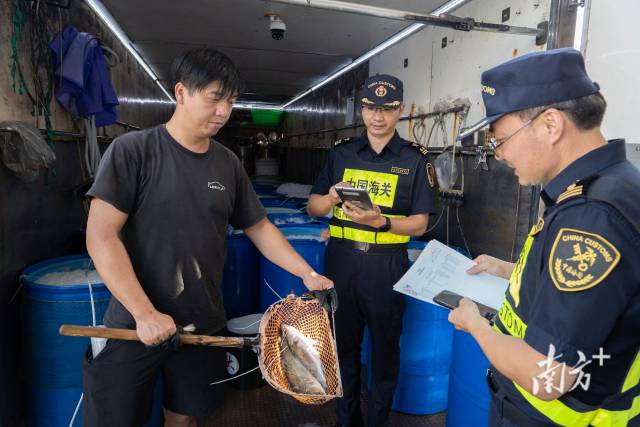 前5个月广东对香港进出口增长7.8%