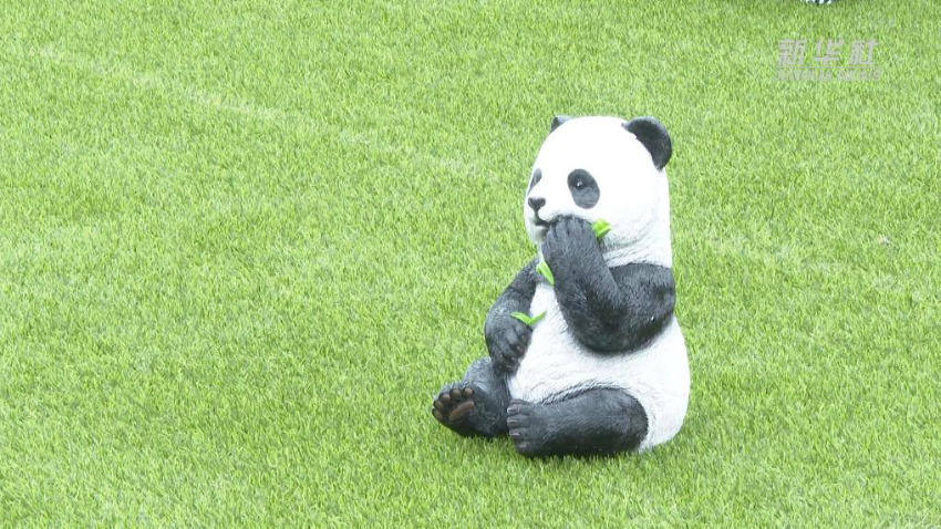 庆祝香港回归祖国28周年活动于维园举行