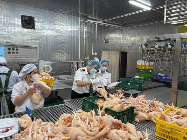 今年上半年斗门海关监管供港澳冰鲜禽产品超8000吨