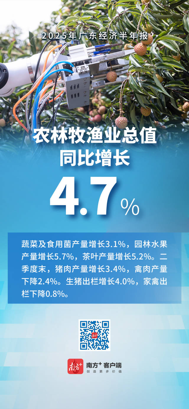 2025广东经济半年报出炉！一组海报带你速览