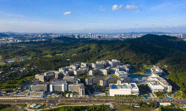 港澳青创梦工厂，何以打造珠西逐梦新舞台？