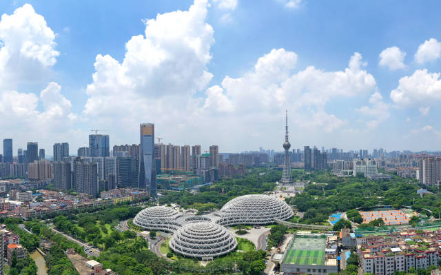 上半年，佛山全市地区生产总值6366.87亿元。戴嘉信 摄