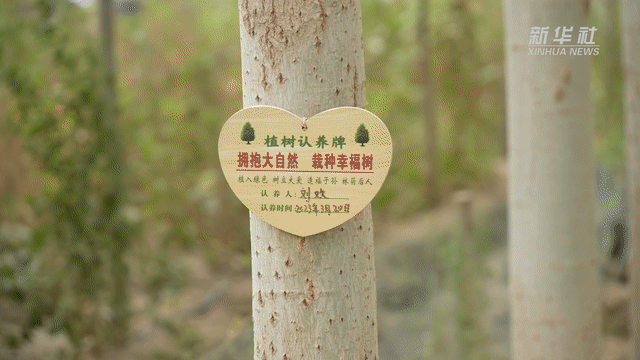 山海虽遥 心手相牵——粤港澳新青少年践行“家国青春约”