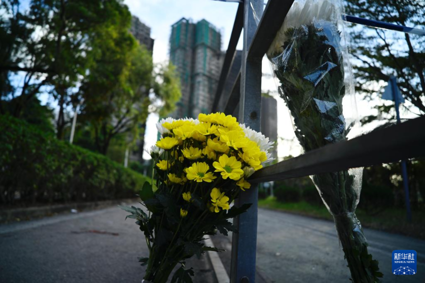 这是11月29日清晨在火灾后的大埔宏福苑楼宇附近拍摄的市民寄托哀思的花束。
