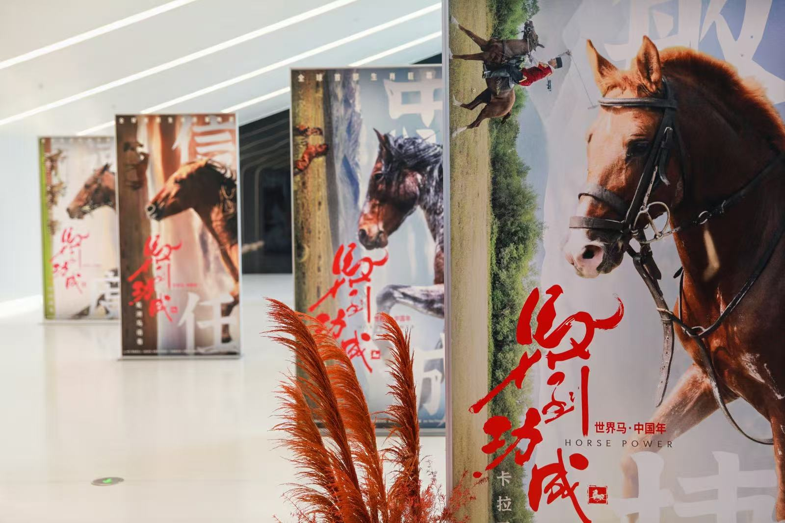 电影《马到功成》海报。