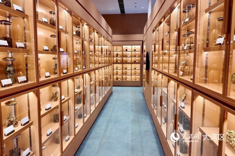 中药标本馆目前展出约3500份标本。