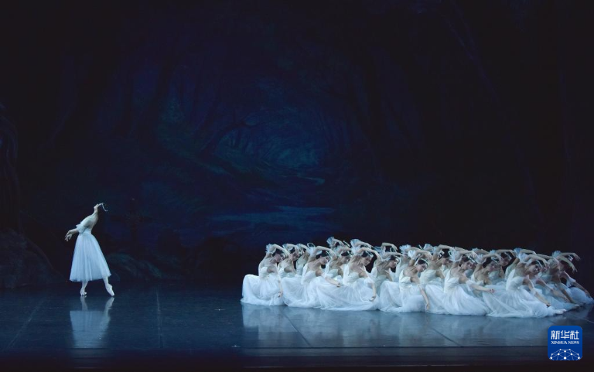 1月20日，中央芭蕾舞团演员在表演舞剧《吉赛尔》。