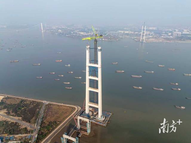 正在建设的狮子洋大桥。 正在建设的狮子洋大桥。