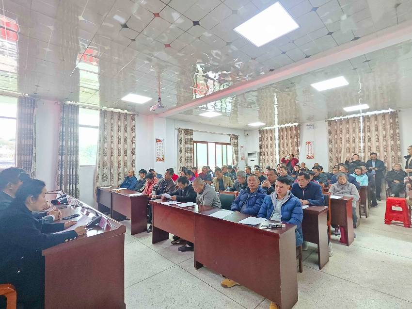 广东省委港澳办驻大麻镇帮镇扶村工作队开展蜜柚种植培训 赋能大埔乡村振兴 广东省委港澳办驻大麻镇帮镇扶村工作队开展蜜柚种植培训 赋能大埔乡村振兴