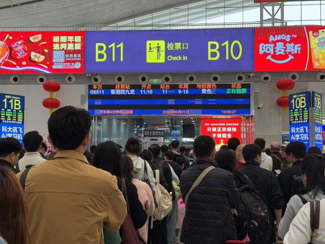 广深港高铁1月跨境客流263.8万人次