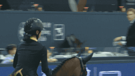 中国香港：以“马”为媒 激发蓬勃发展活力 