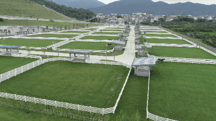 中国香港：以“马”为媒 激发蓬勃发展活力 