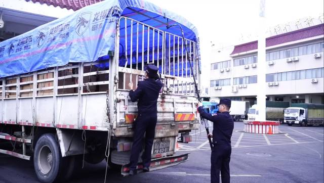 特写|拱北口岸的分秒之间 特写|拱北口岸的分秒之间