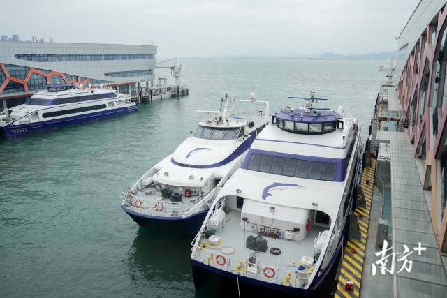 粤港澳大湾区的这个春运,深度融合迈上新台阶 粤港澳大湾区的这个春运,深度融合迈上新台阶