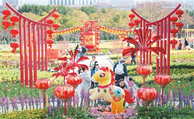 为迎接农历新年到来，澳门市政署近日在氹仔龙环葡韵举行庆新春主题花展，花展以马年装饰为主题，让市民及游客感受浓厚的新春节日气氛。图为市民在新春主题花展上参观。