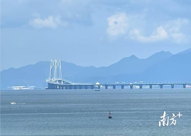 两个“世界级”！从政府工作报告看大湾区建设新机遇