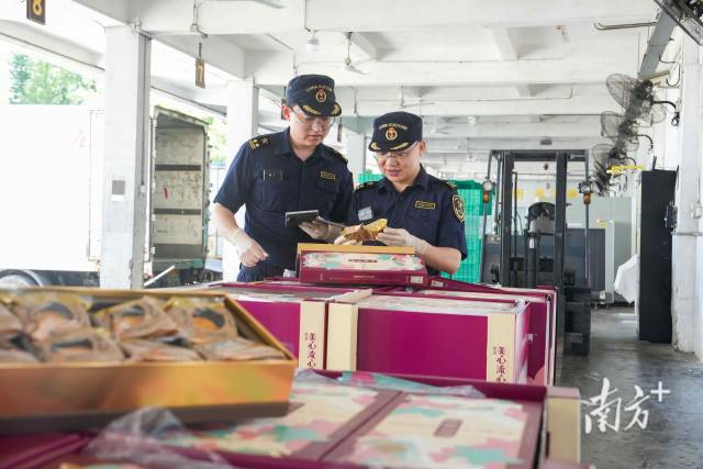 2025年中秋佳节，文锦渡海关关员快速验放原产于香港的月饼。吴小翔 摄