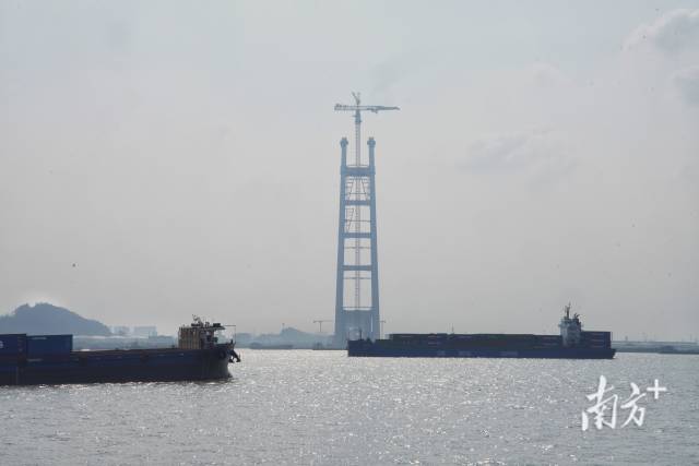 狮子洋大桥与往来的货船。