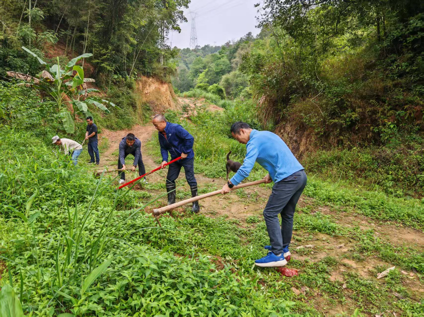 广东省委港澳办驻大麻镇帮扶工作队开展植树活动 助力绿美乡村建设 广东省委港澳办驻大麻镇帮扶工作队开展植树活动 助力绿美乡村建设