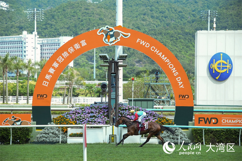 香港赛驹“嘉应高升”勇夺“主席短途奖”冠军。 香港赛驹“嘉应高升”勇夺“主席短途奖”冠军。