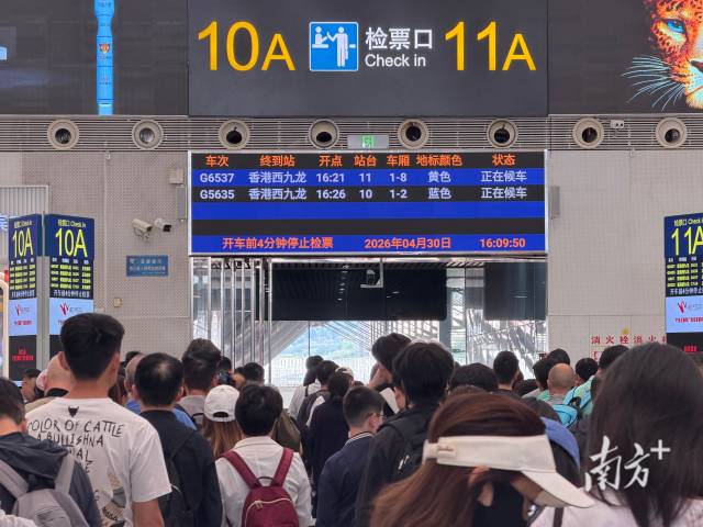 广深港高铁跨境客流持续走高。